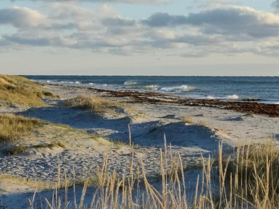 Hyggelig Sommerhus Oer Maritime Ferieby Ebeltoft Exteriör bild